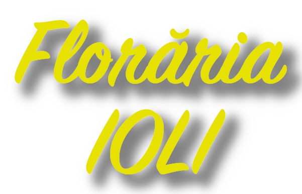 Florăria IOLI